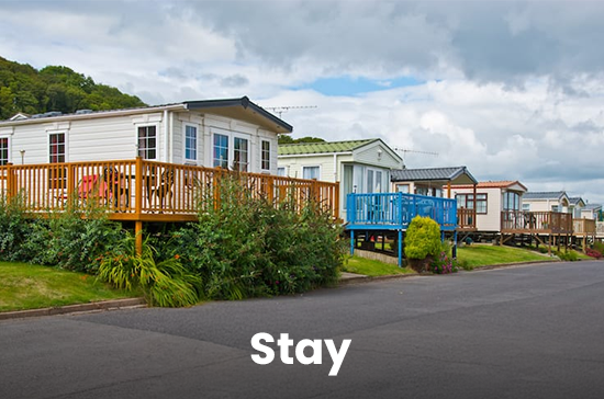 Stay-1